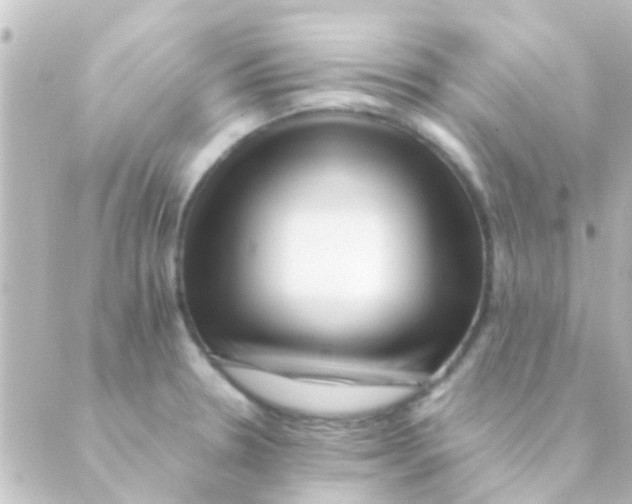 X0000088661330200706221626