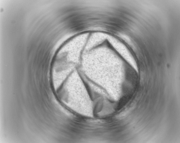 X0000088661331200706221626