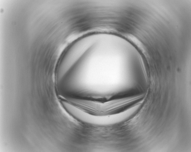 X0000088661335200706221626