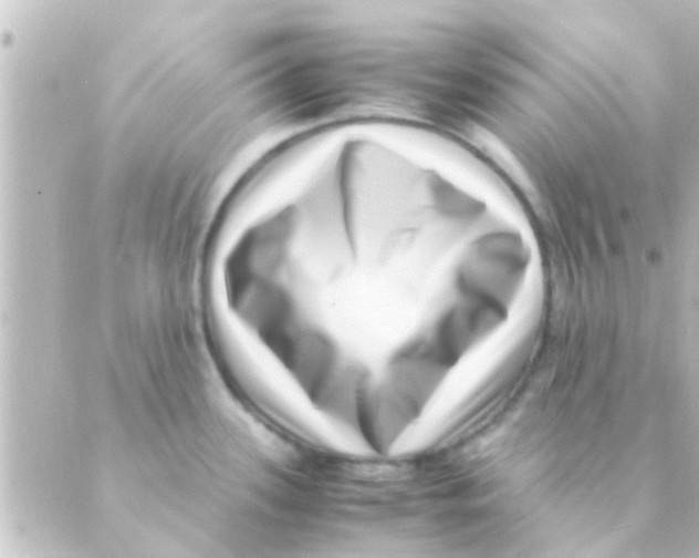 X0000088661339200706221626