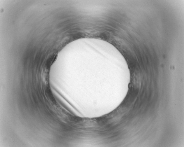 X0000088661346200706221625