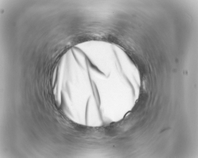 X0000088661347200706221625