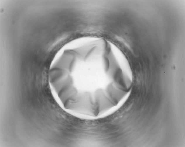 X0000088661350200706221625