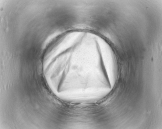 X0000088661358200706221625