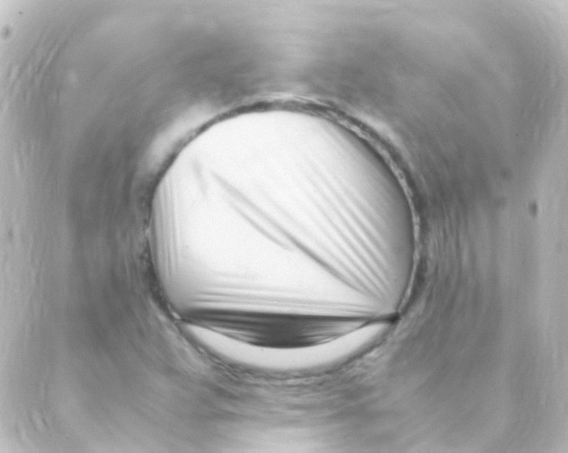 X0000088661359200706221625