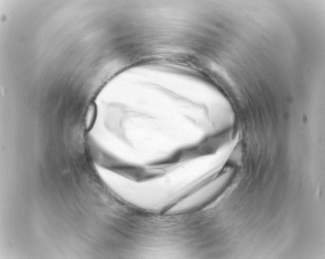 X0000088661362200706221625