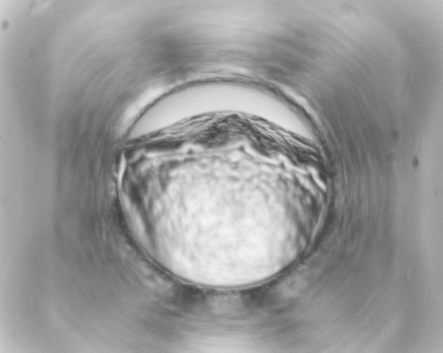 X0000088661363200706221625