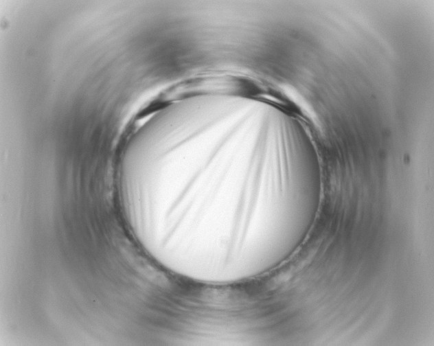 X0000088661364200706221625