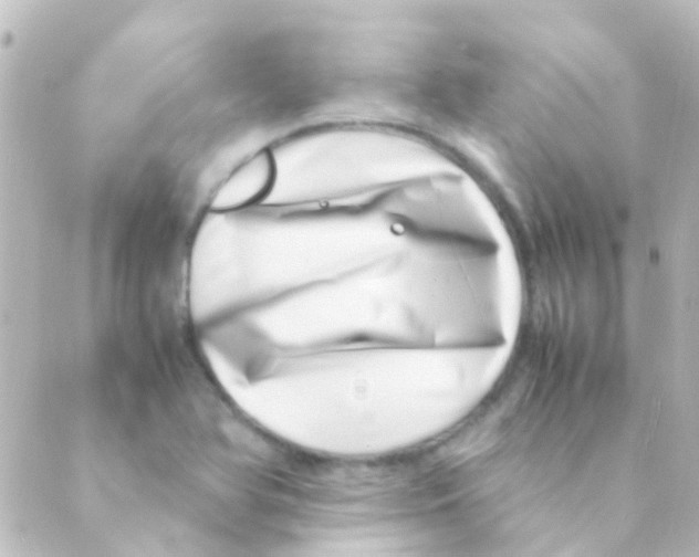 X0000088661366200706221625