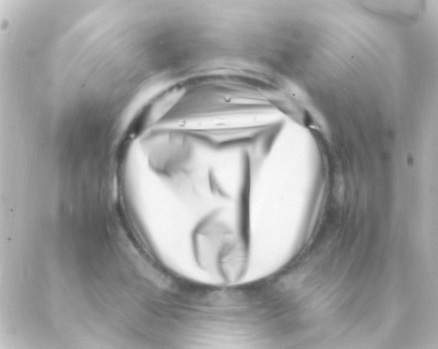 X0000088661368200706221625