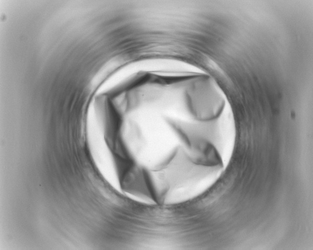 X0000088661370200706221625