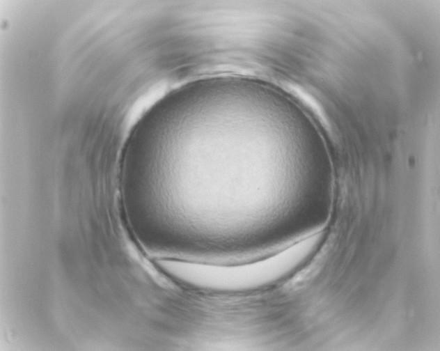 X0000088661373200706221625