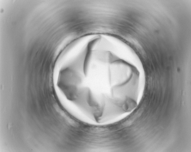 X0000088661374200706221625