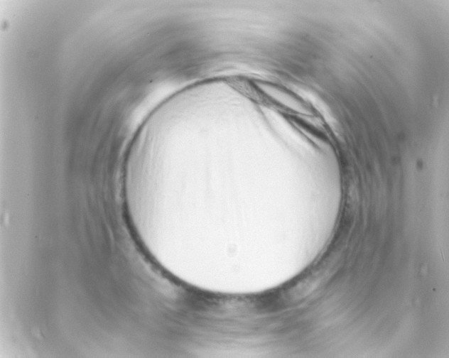 X0000088661375200706221625
