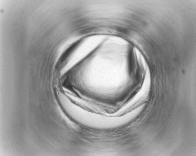 X0000088661379200706221624