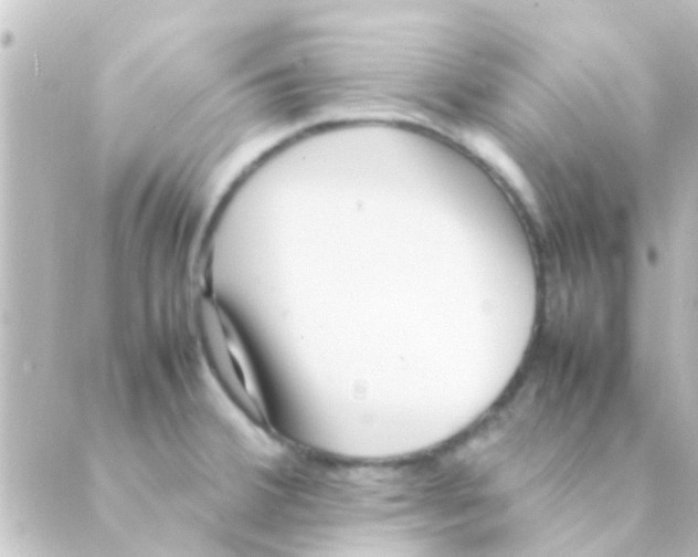 X0000088661380200706221624