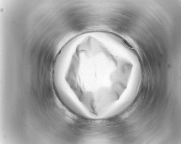 X0000088661390200706221624