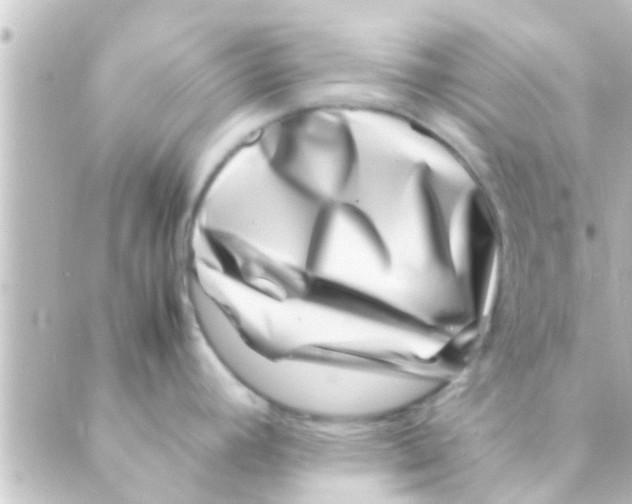 X0000088661392200706221624