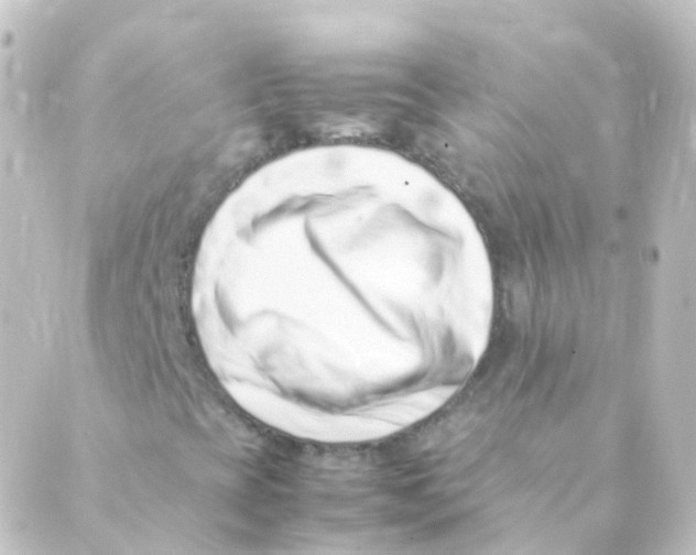 X0000088661393200706221623