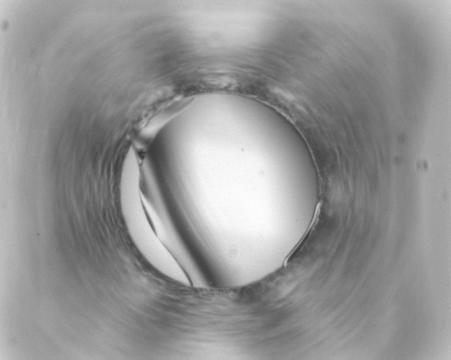 X0000088661394200706221623