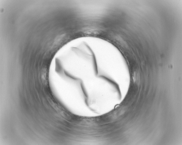 X0000088661396200706221624