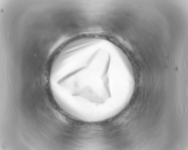 X0000088661400200706221624