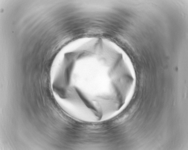 X0000088661401200706221624