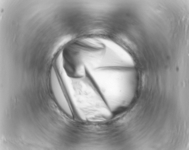 X0000088661405200706221624