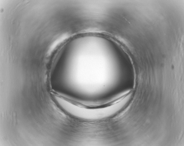 X0000088661406200706221624