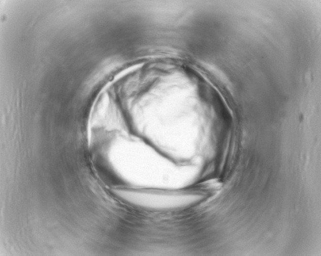X0000088661407200706221624