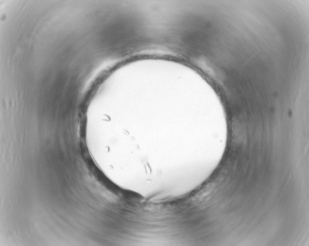 X0000088661408200706221624