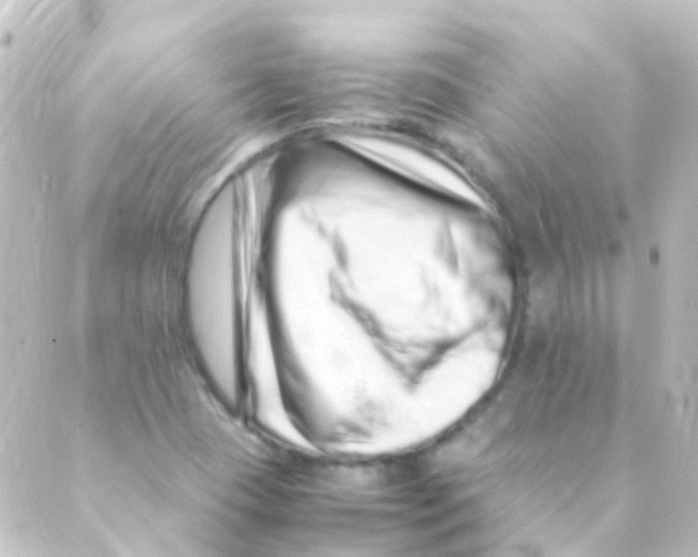 X0000088661409200706221624