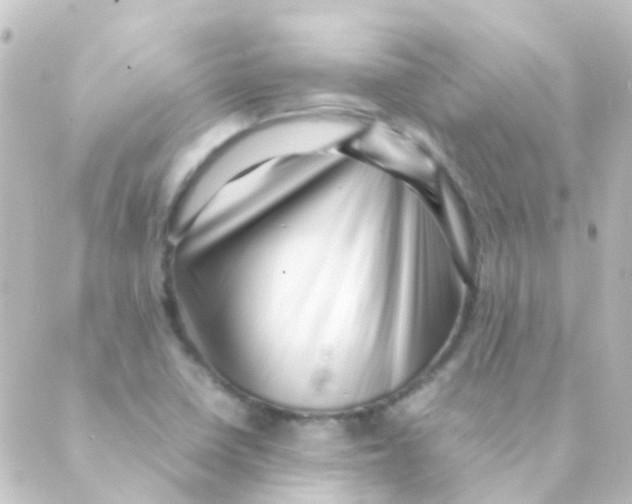 X0000088661410200706221624