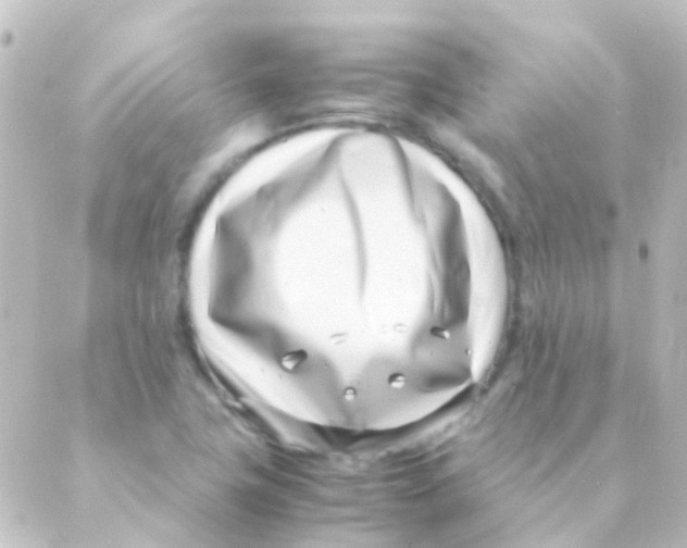 X0000088661411200706221624