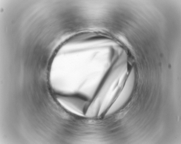 X0000088661412200706221624