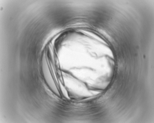 X0000088661413200706221624