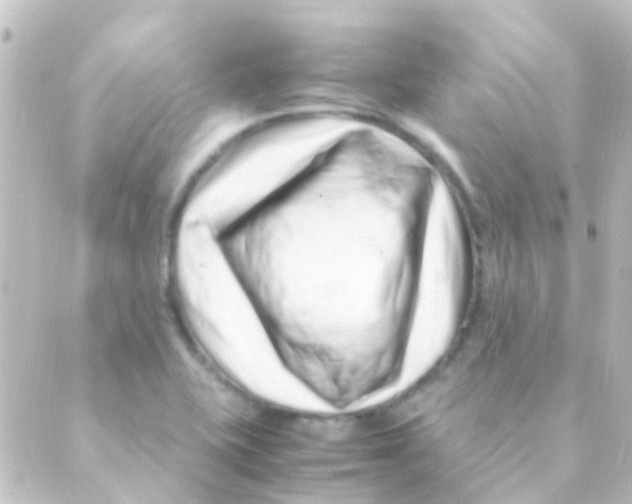 X0000088661415200706221624