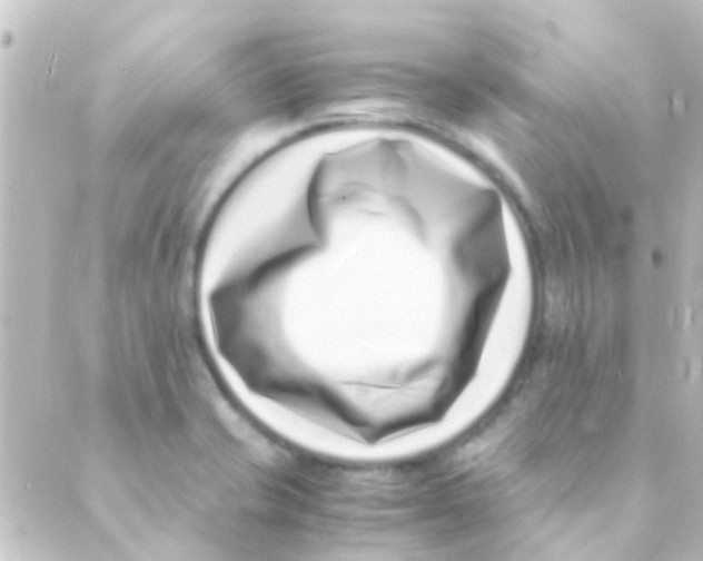 X0000088661421200706221624