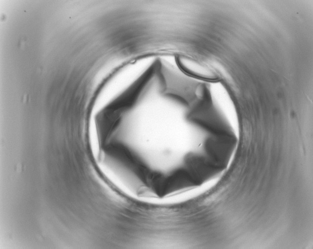 X0000088661424200706221624