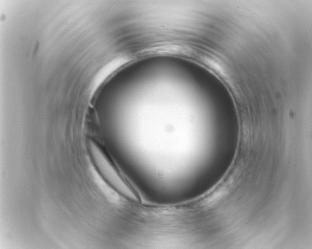 X0000088661426200706221624