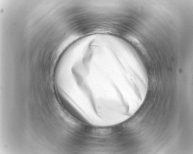 X0000088661427200706221624