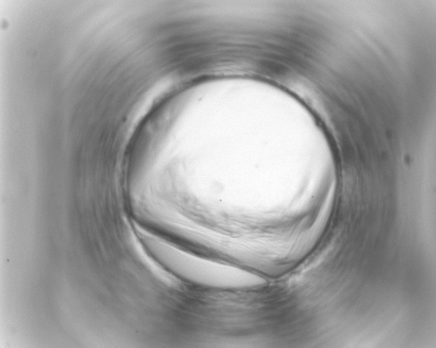 X0000088661429200706221624