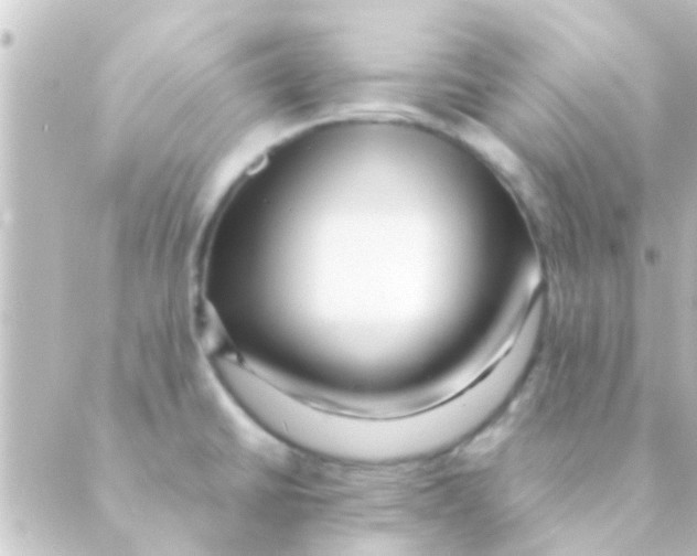 X0000088661430200706221624