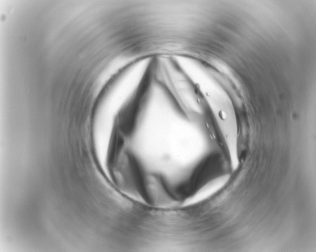 X0000088661432200706221624