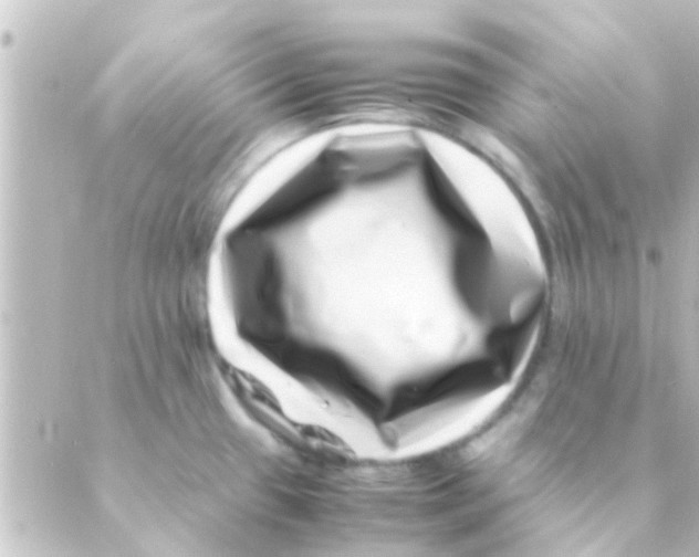 X0000088661433200706221624