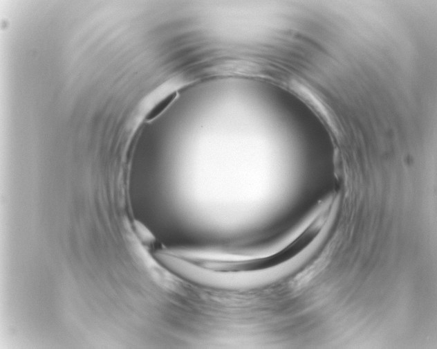 X0000088661434200706221624