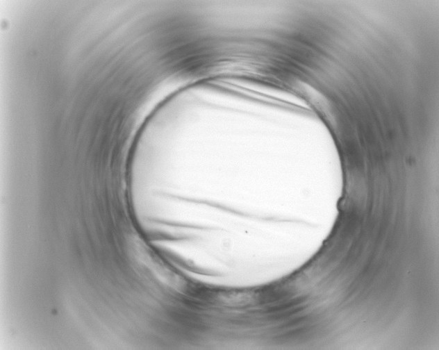 X0000088661435200706221624
