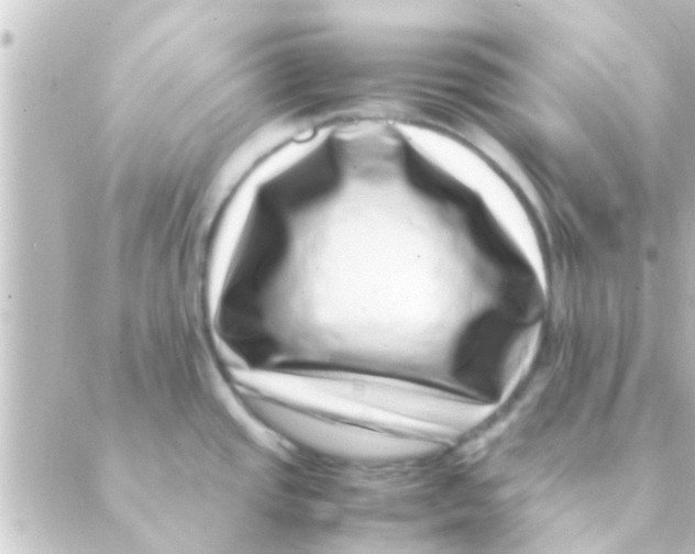 X0000088661437200706221624