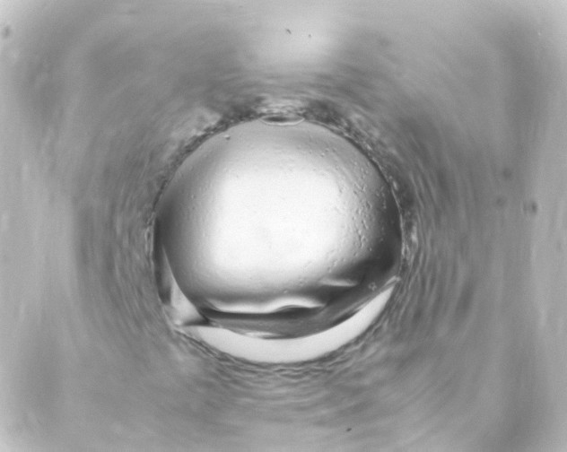 X0000088661441200706221623