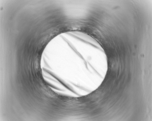 X0000088661442200706221623